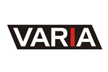 racunovodstvo varia log